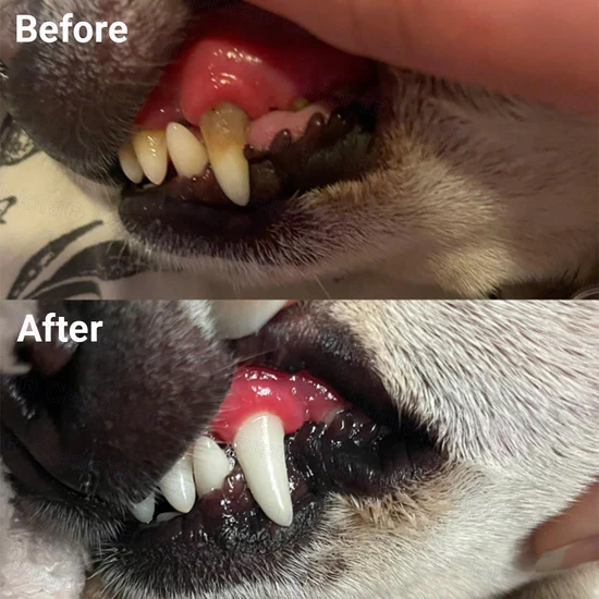 Sarah K. — PawFresh™ Anti-Tartar Oral Spray result